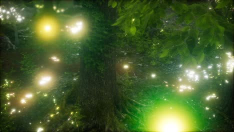 Glühwürmchen-Fliegen-Im-Wald
